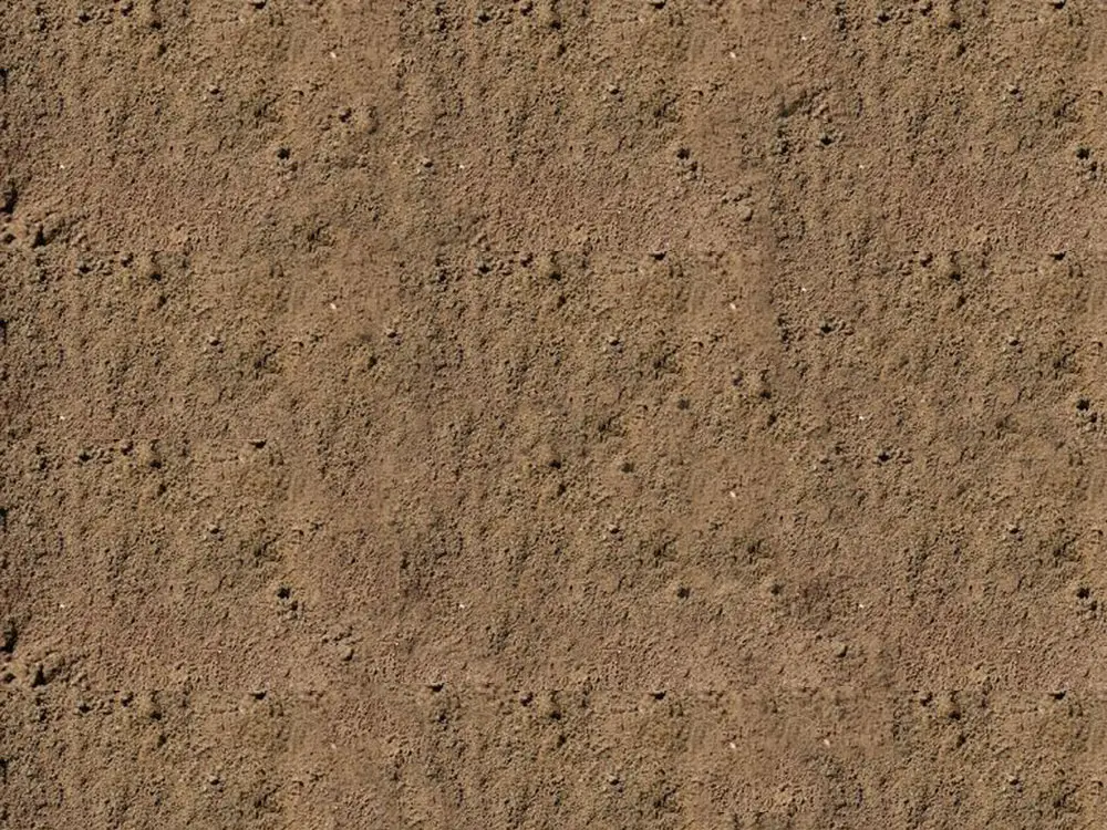 Topsoil Dirt